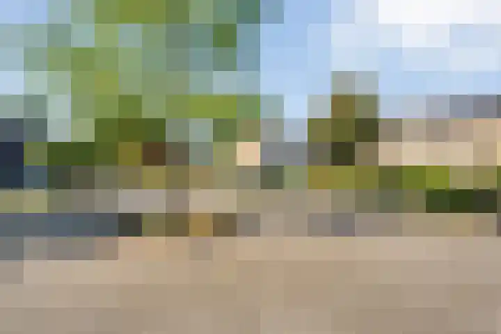 Oostercluft 390 Steenwijk thumbnail 26