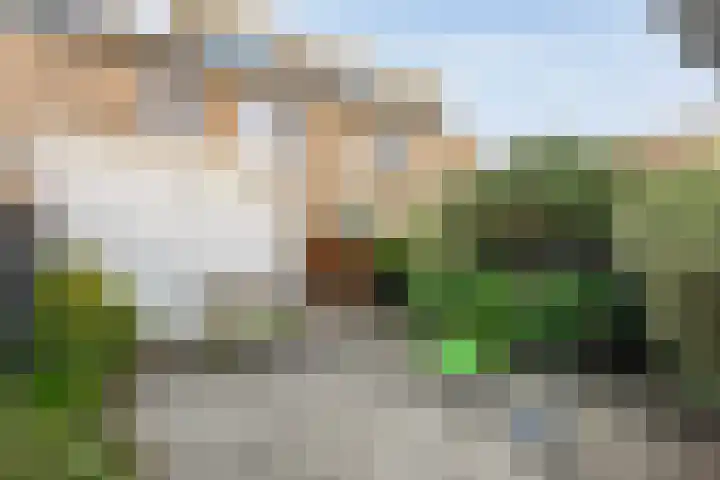 Oostercluft 390 Steenwijk thumbnail 27