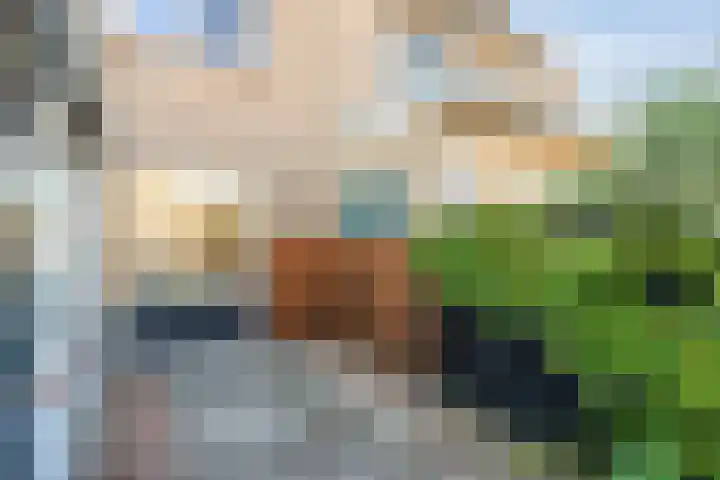 Oostercluft 390 Steenwijk thumbnail 28