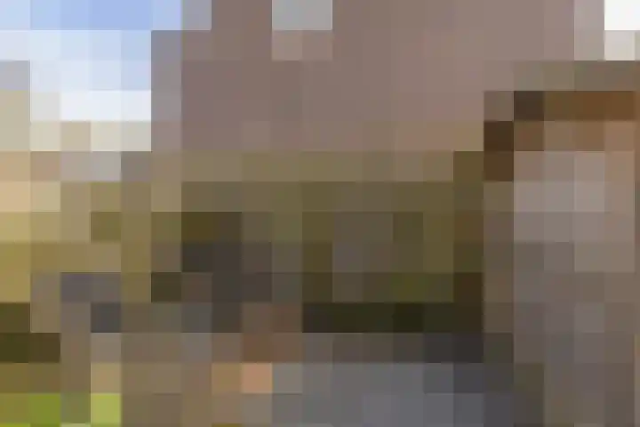 Oostercluft 59 Steenwijk thumbnail 43