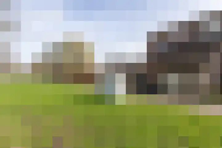 Oostercluft 59 Steenwijk thumbnail 7
