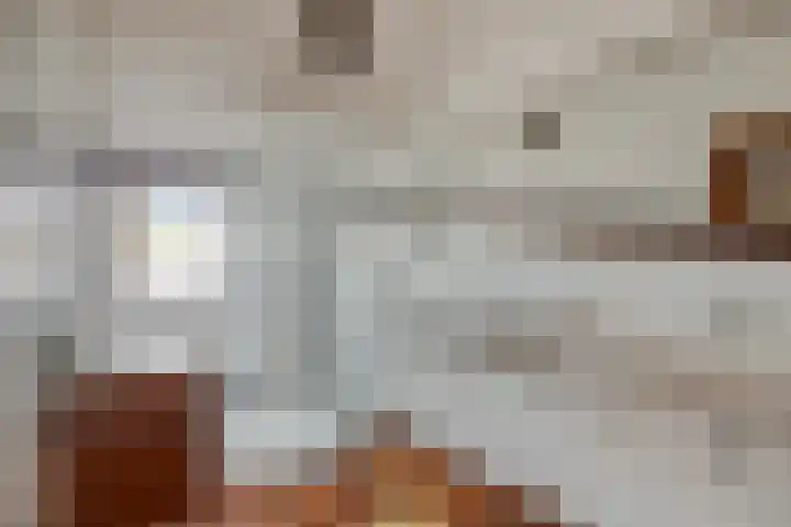 Oosterdijk 15 Dirkshorn thumbnail 33