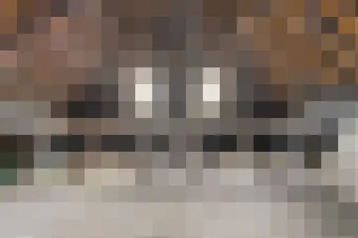 Oosterdijk 15 Dirkshorn thumbnail 42