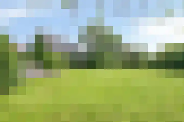 Oosterdijk 15 Dirkshorn thumbnail 61