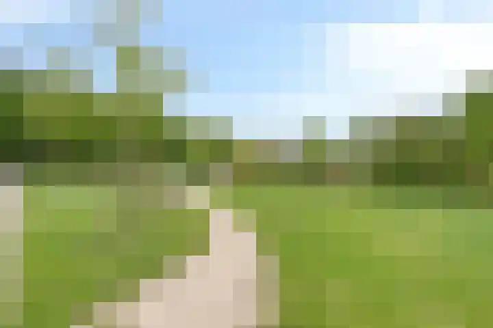Oosterdijk 15 Dirkshorn thumbnail 72