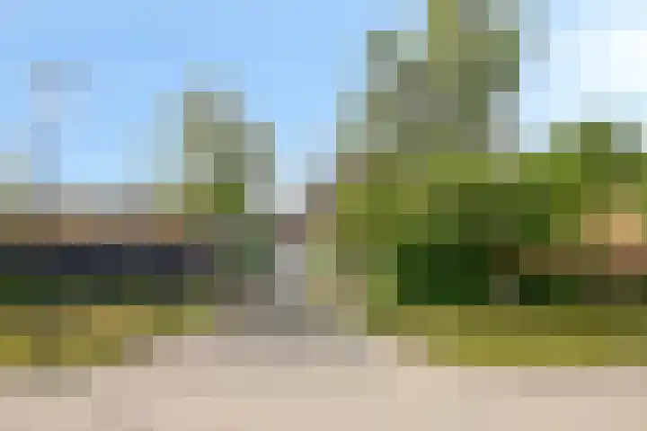 Oosterdijk 15 Dirkshorn thumbnail 73