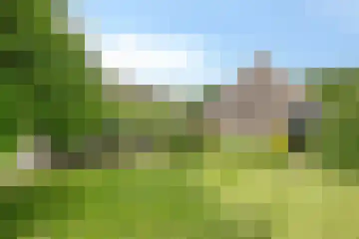 Oosterdijk 15 Dirkshorn thumbnail 74