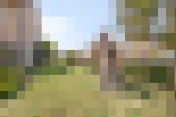 Oosterdstraat 1 Berghem thumbnail 37