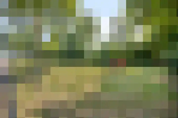 Oosterdstraat 1 Berghem thumbnail 43