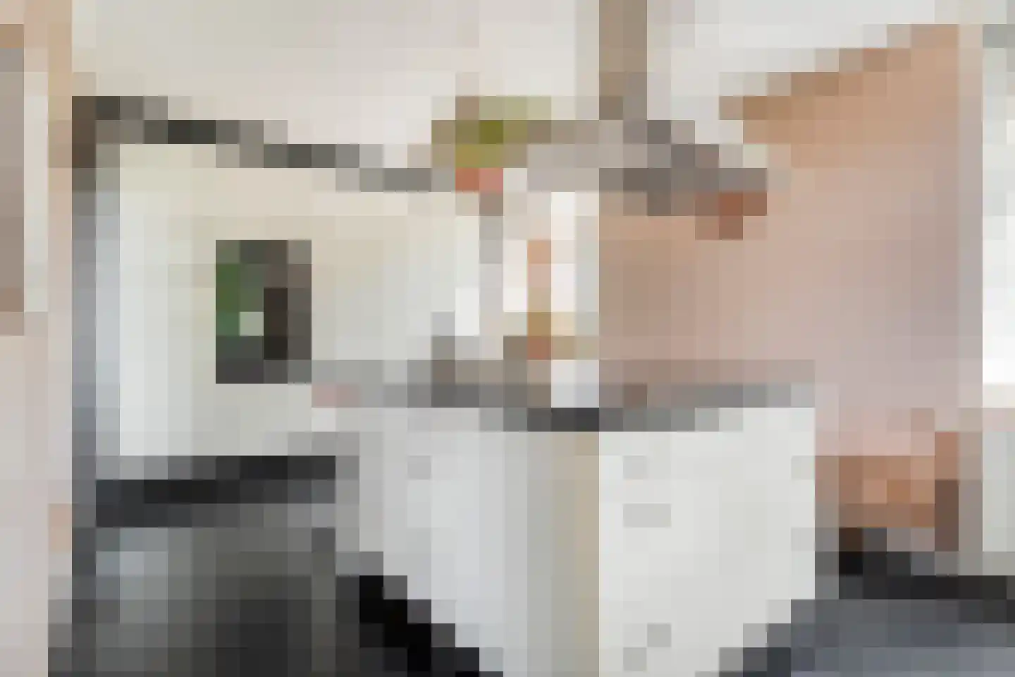 Oostereind 5 Grolloo thumbnail 24
