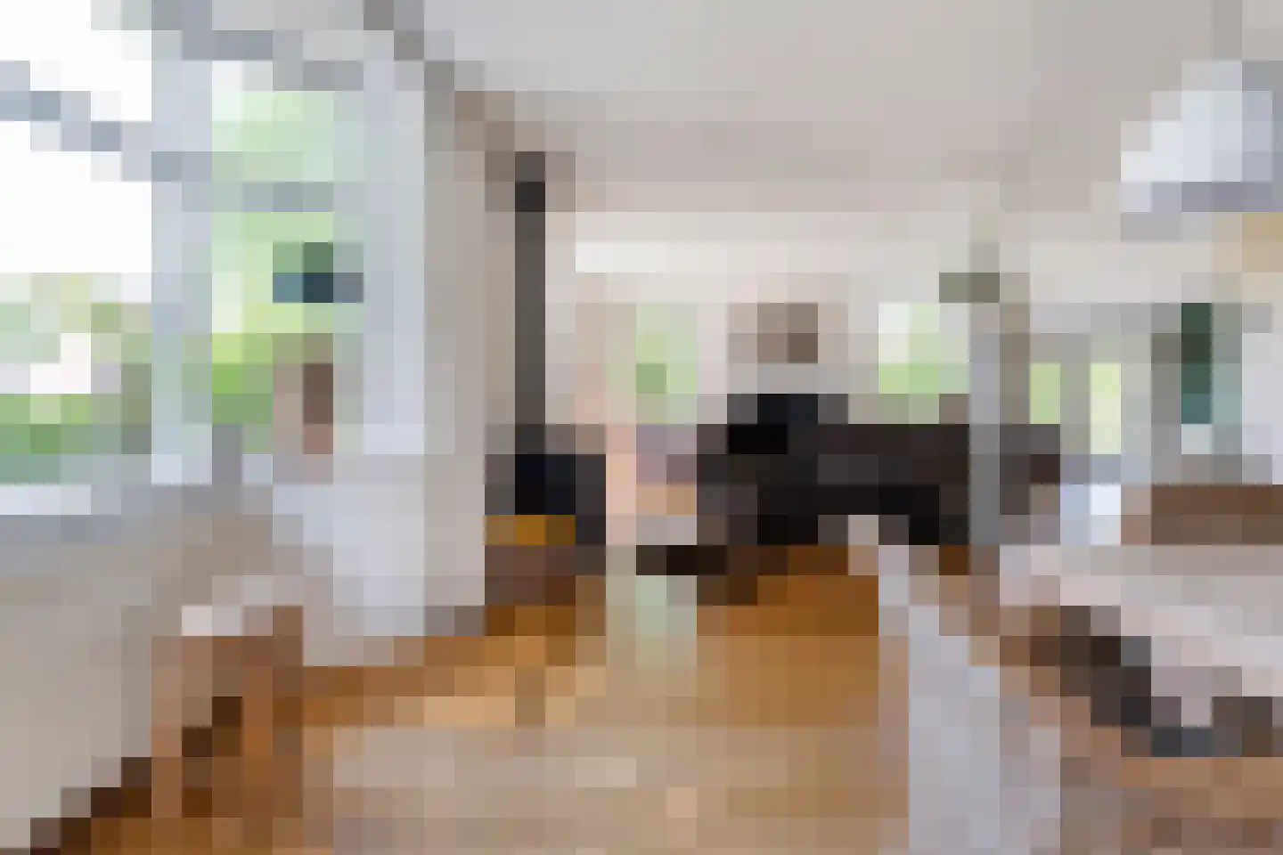 Oostereind 5 Grolloo thumbnail 25