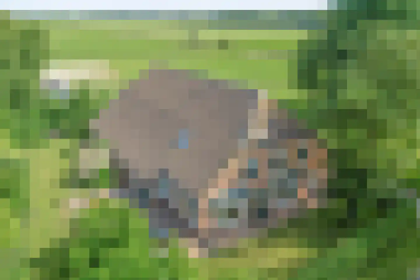 Oostereind 5 Grolloo foto 3