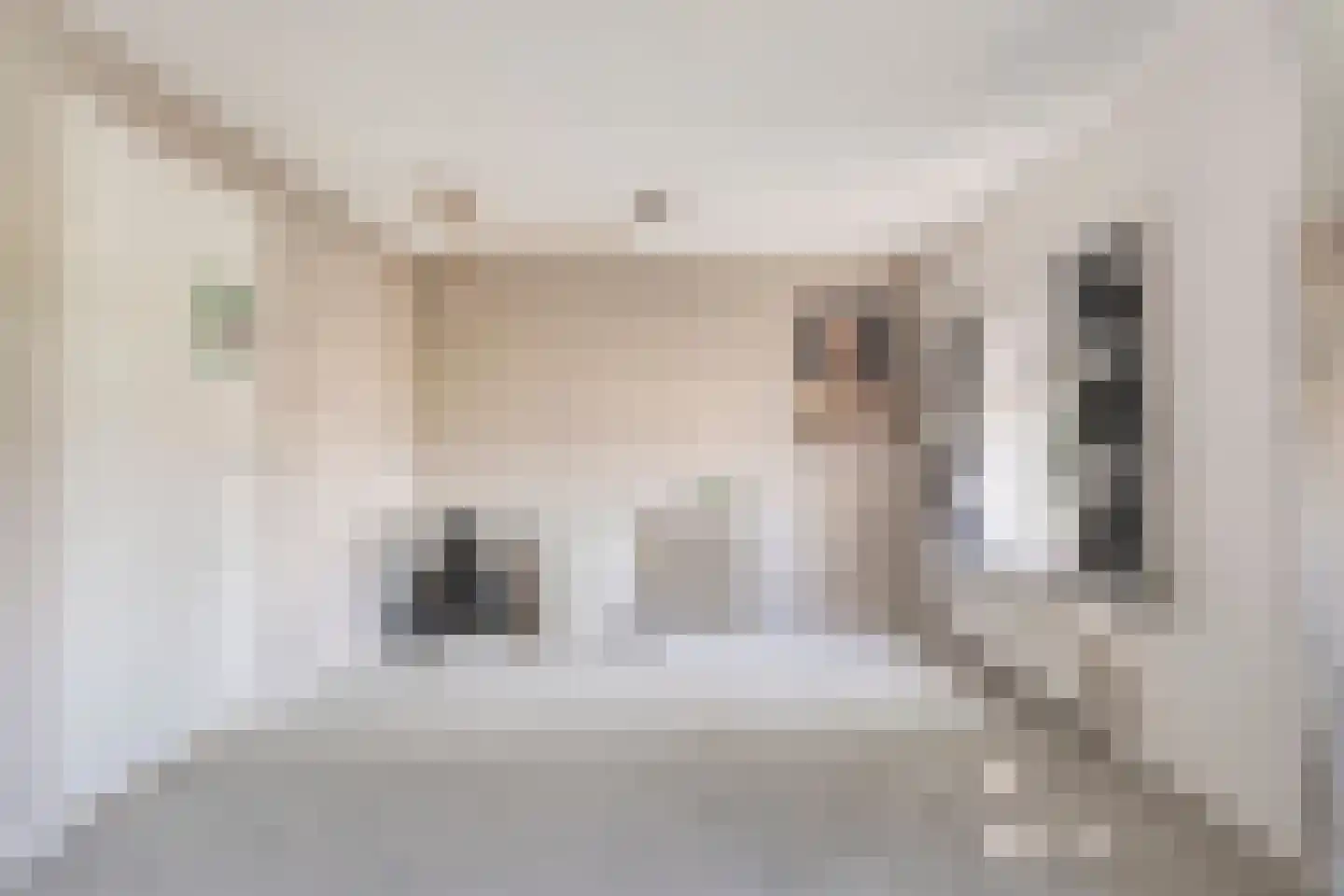 Oostereind 5 Grolloo thumbnail 47