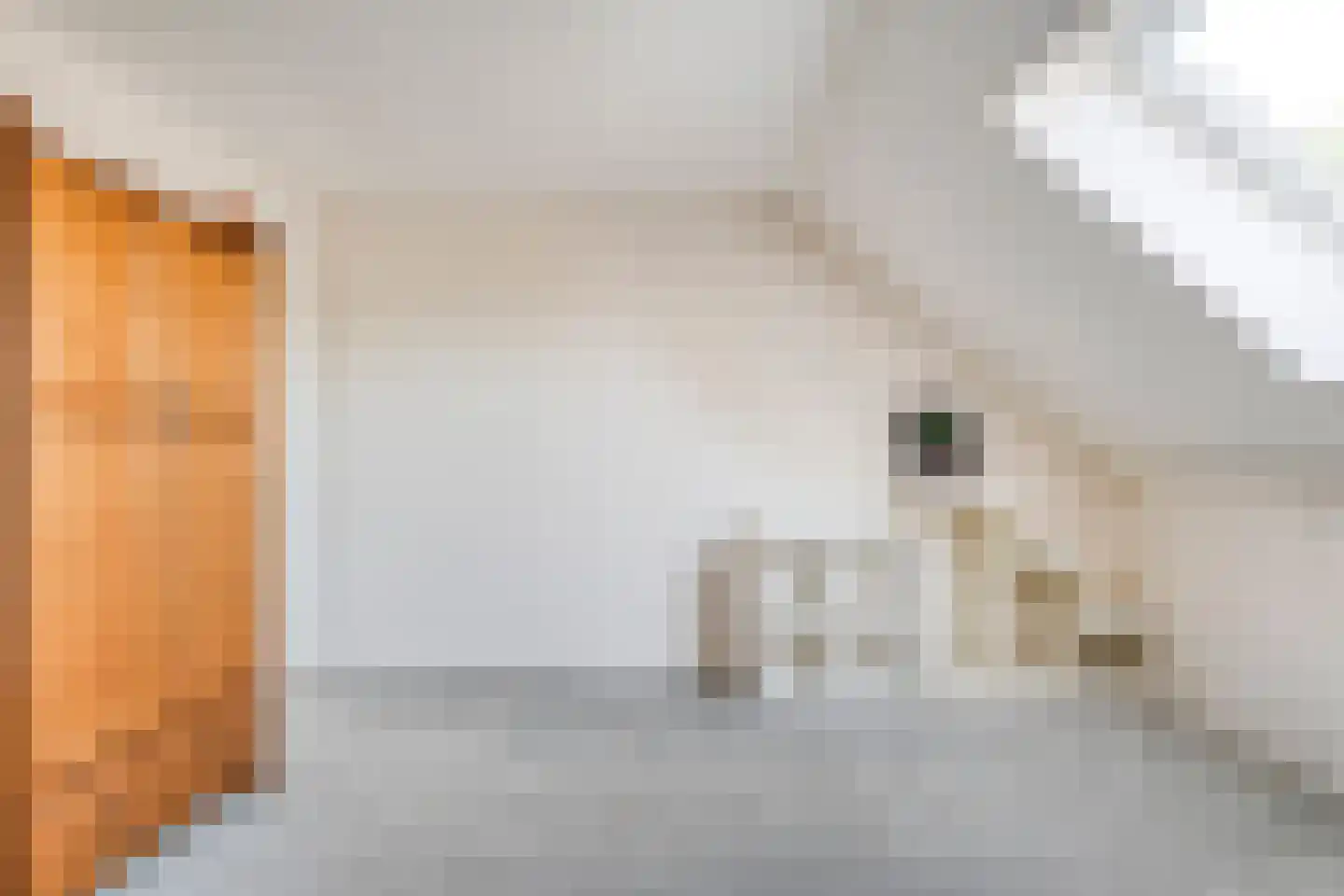 Oostereind 5 Grolloo thumbnail 49