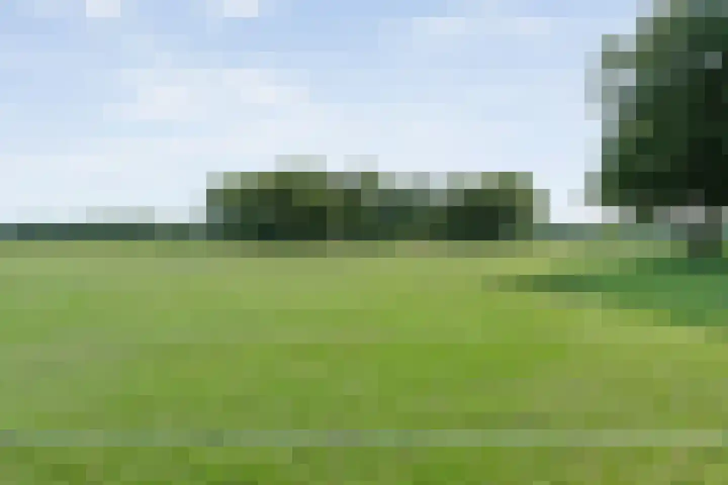 Oostereind 5 Grolloo thumbnail 61