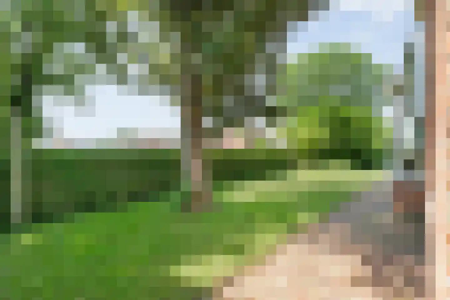 Oostereind 5 Grolloo thumbnail 63
