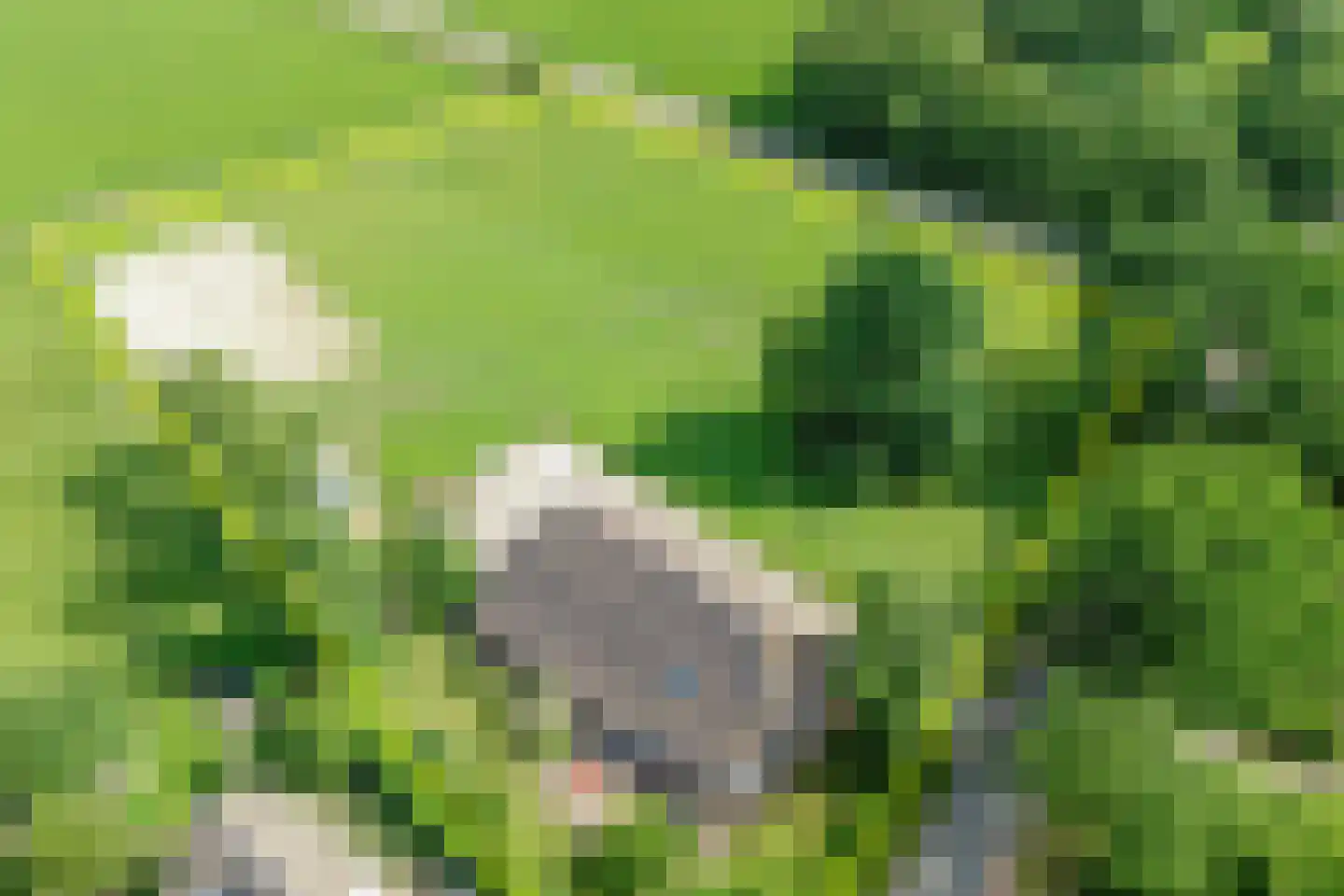 Oostereind 5 Grolloo thumbnail 7