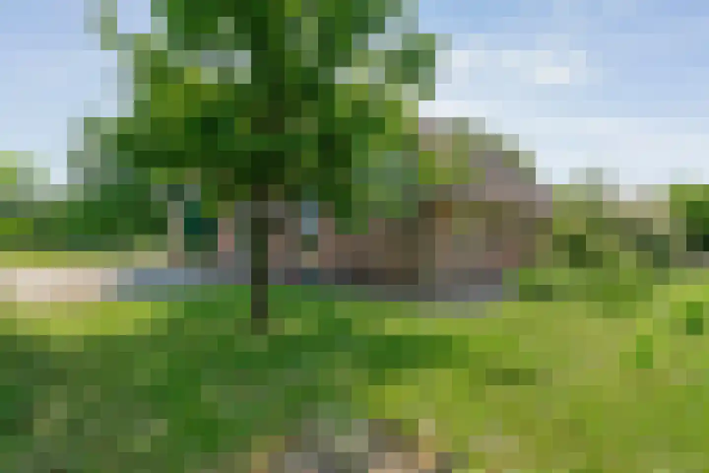 Oostereind 5 Grolloo thumbnail 72