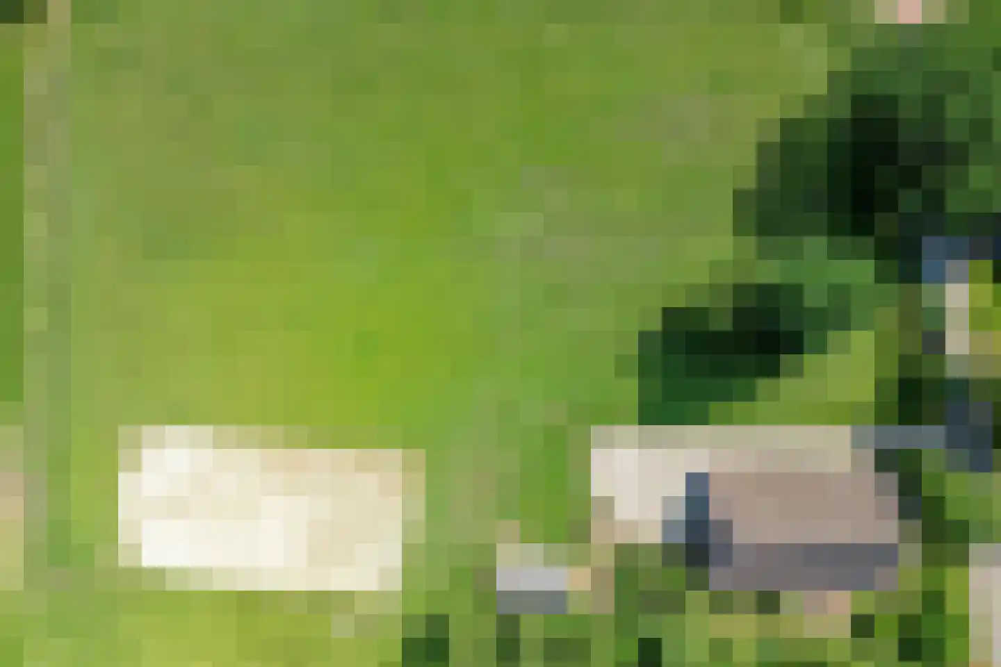 Oostereind 5 Grolloo thumbnail 9