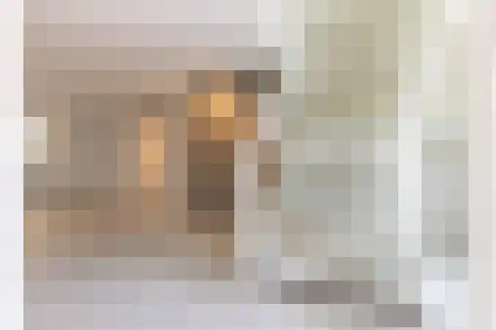 Oosterend 13 Laren thumbnail 19