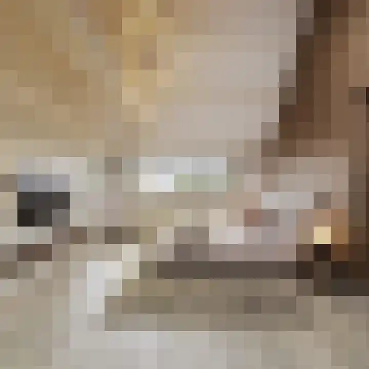 Oosterend 13 Laren thumbnail 26