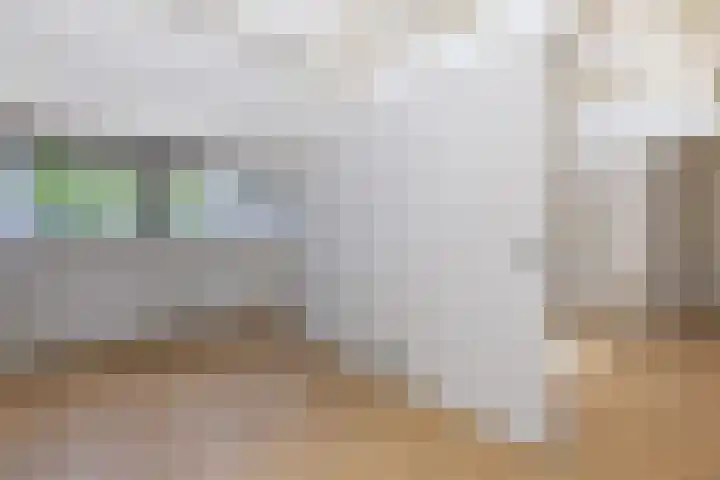 Oosterend 13 Laren thumbnail 29
