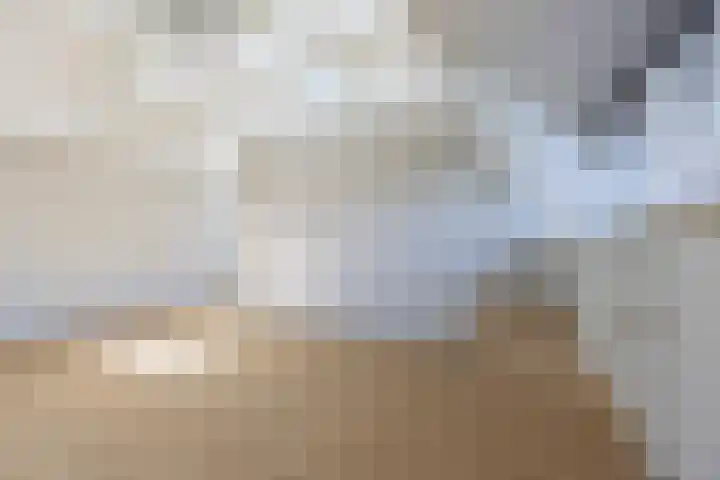 Oosterend 13 Laren thumbnail 30
