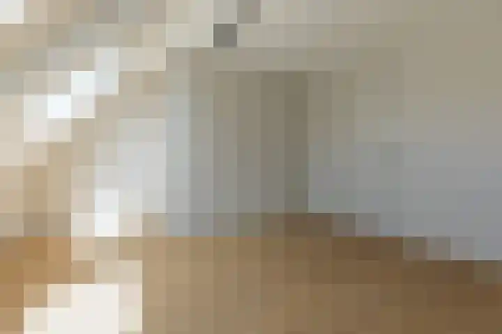 Oosterend 13 Laren thumbnail 40