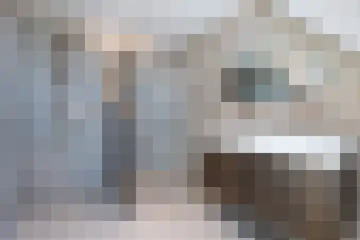 Oosterend 13 Laren thumbnail 42