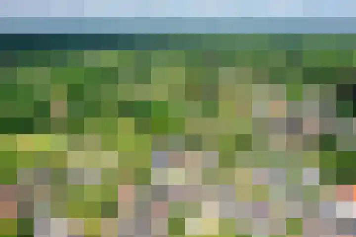 Oosterend 13 Laren thumbnail 43
