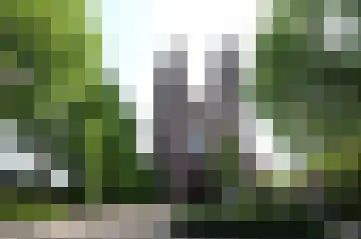 Oosterend 13 Laren thumbnail 45