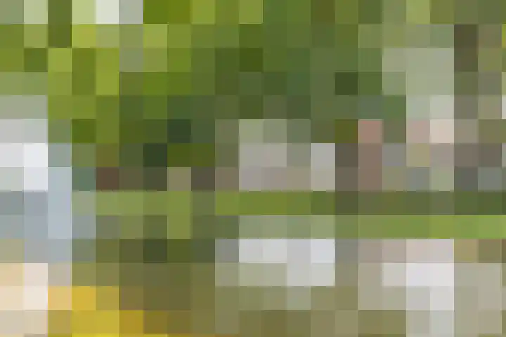 Oosterend 13 Laren thumbnail 47