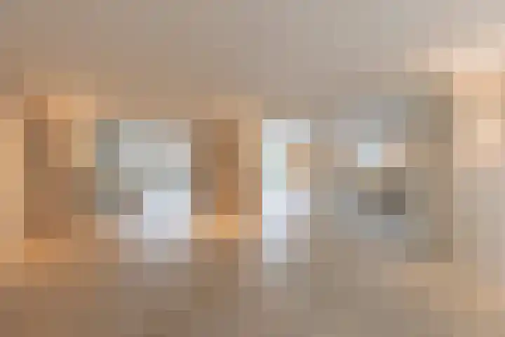 Oosterend 13 Laren thumbnail 9