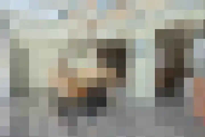 Oosteres 9 Almelo thumbnail 12