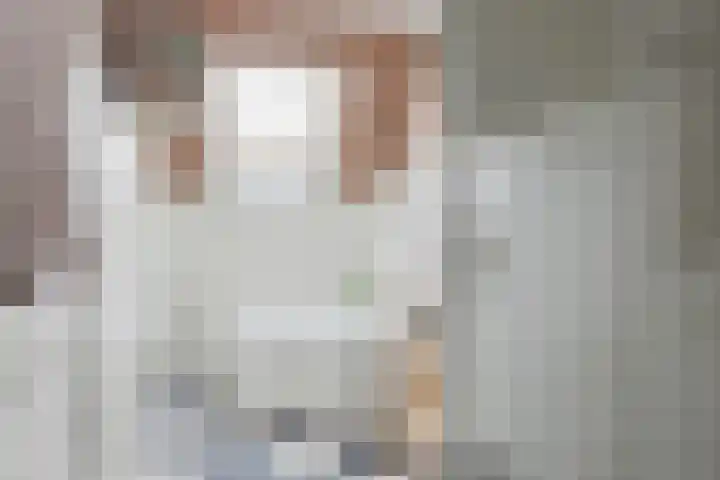 Oosteres 9 Almelo thumbnail 17
