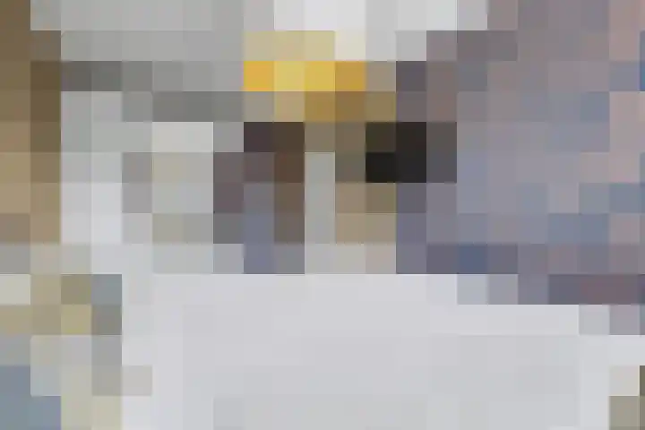 Oosteres 9 Almelo thumbnail 20