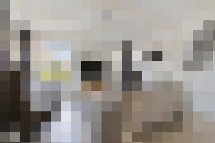Oostergo 14 Dronten thumbnail 12
