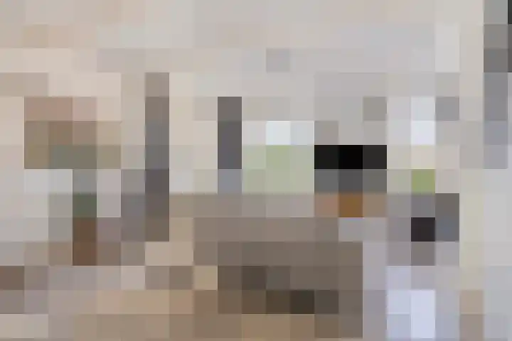 Oostergo 14 Dronten thumbnail 13