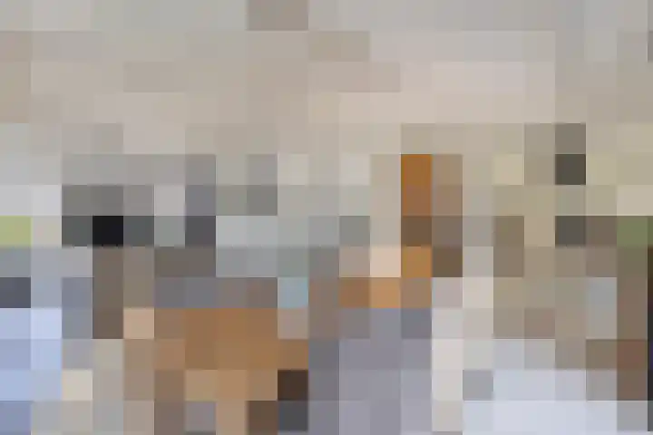 Oostergo 14 Dronten thumbnail 16