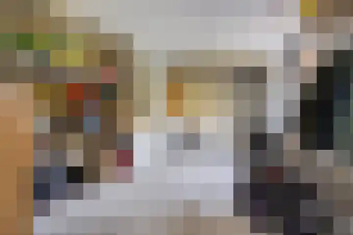 Oostergo 14 Dronten thumbnail 22