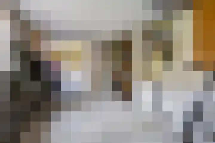 Oostergo 14 Dronten thumbnail 23