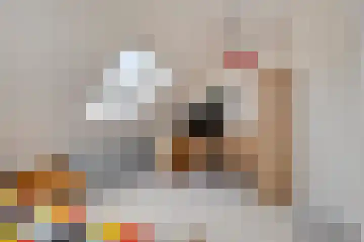 Oostergo 14 Dronten thumbnail 30