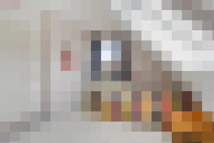 Oostergo 14 Dronten thumbnail 31