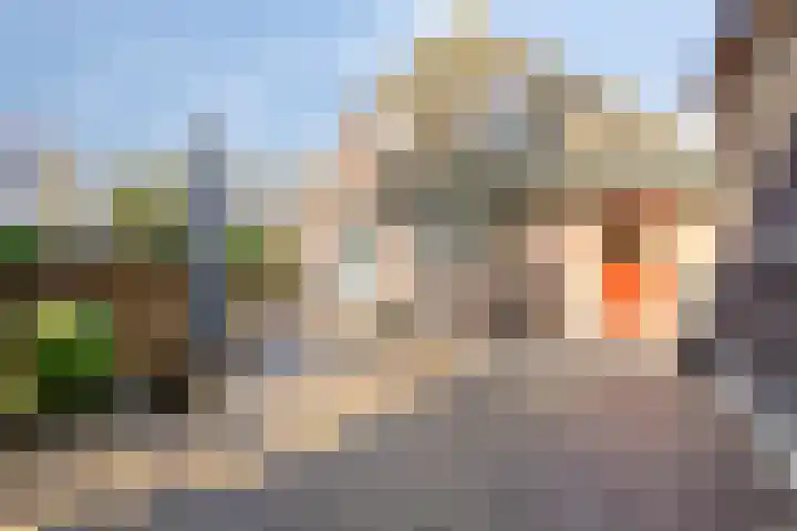 Oostergo 14 Dronten thumbnail 38