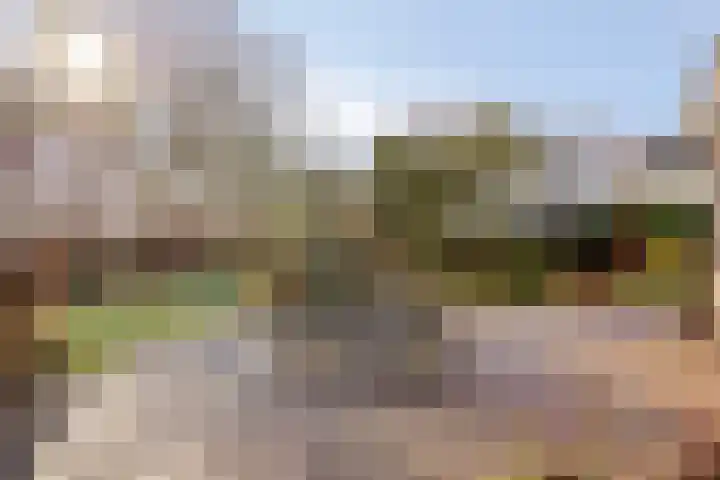 Oostergo 14 Dronten thumbnail 39