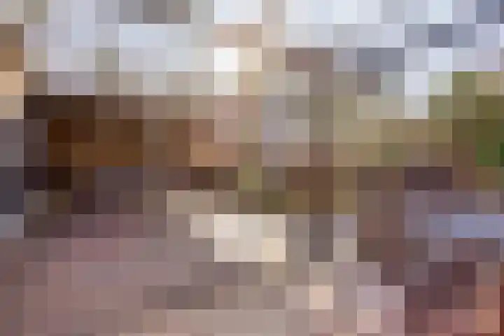 Oostergo 14 Dronten thumbnail 40