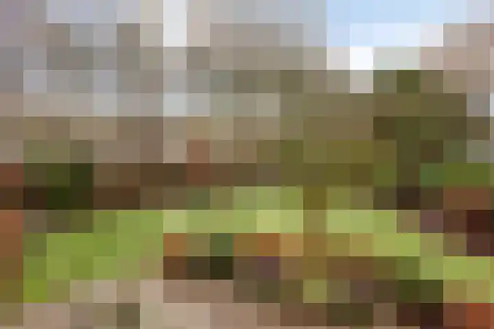 Oostergo 14 Dronten thumbnail 43