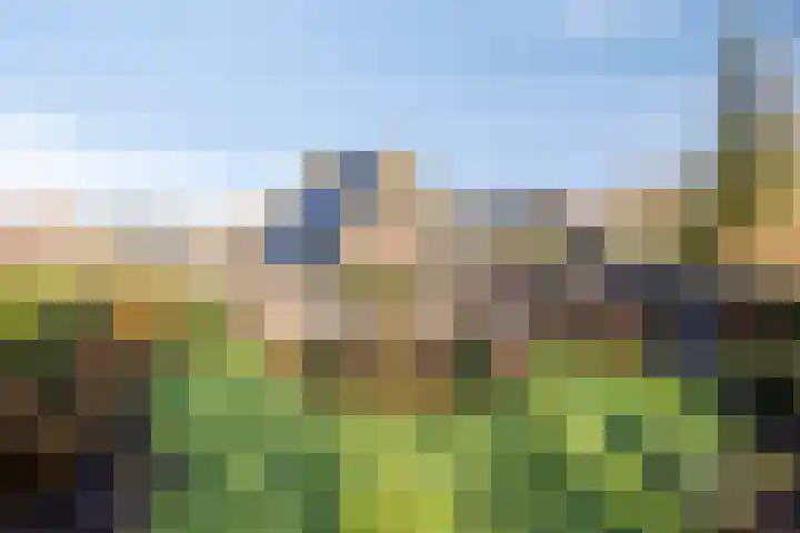 Oostergo 14 Dronten thumbnail 45