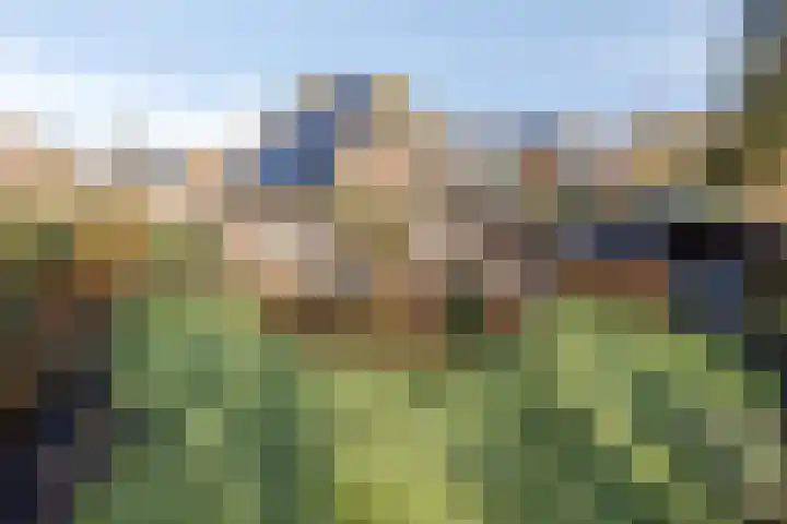 Oostergo 14 Dronten thumbnail 46
