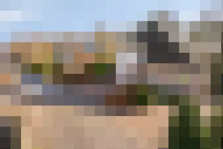 Oostergo 14 Dronten thumbnail 49